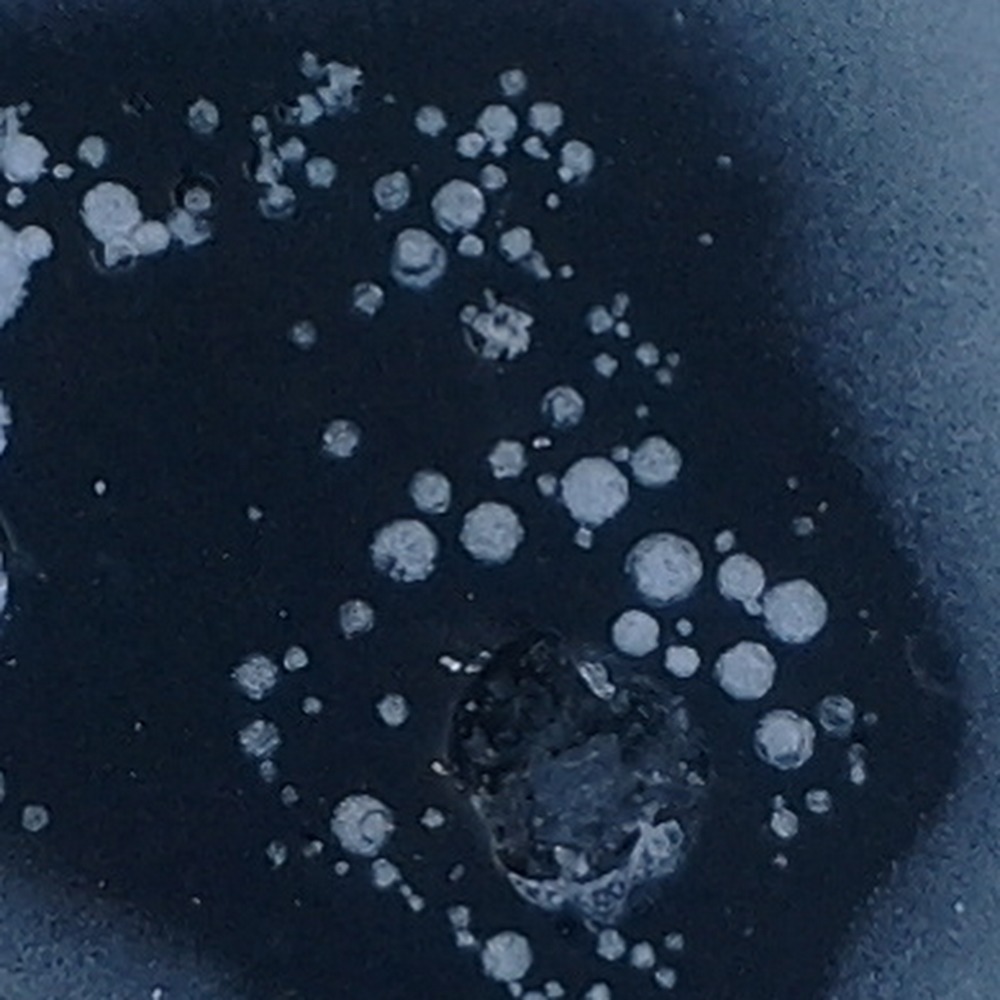 Meet your Posher, Fernanda